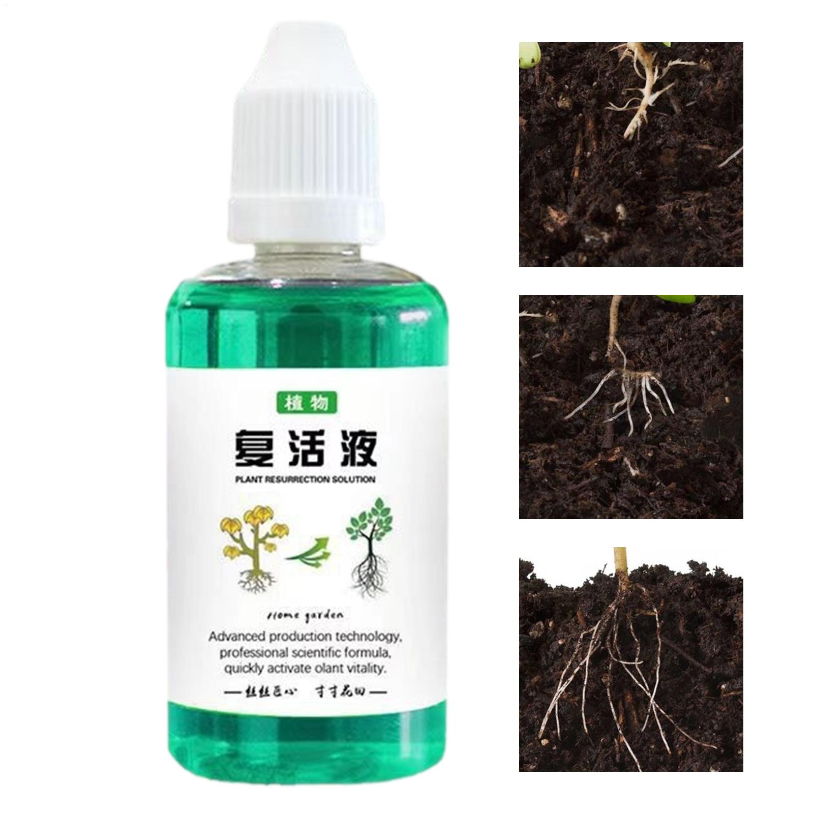 Root Stimulator Liquid - Stimolatore di Radici per Piante 50ml,