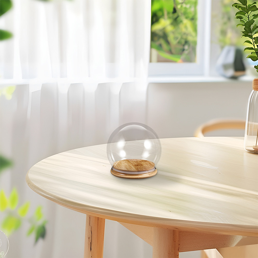 2 Pezzi Campana di Vetro Trasp - Plastic Dome Clear recensione e prezzo