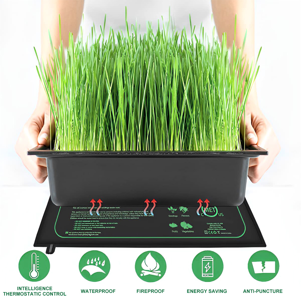 10/25/50 CENTIMETRI Piantina T - Rooting Gel Clone recensione e prezzo