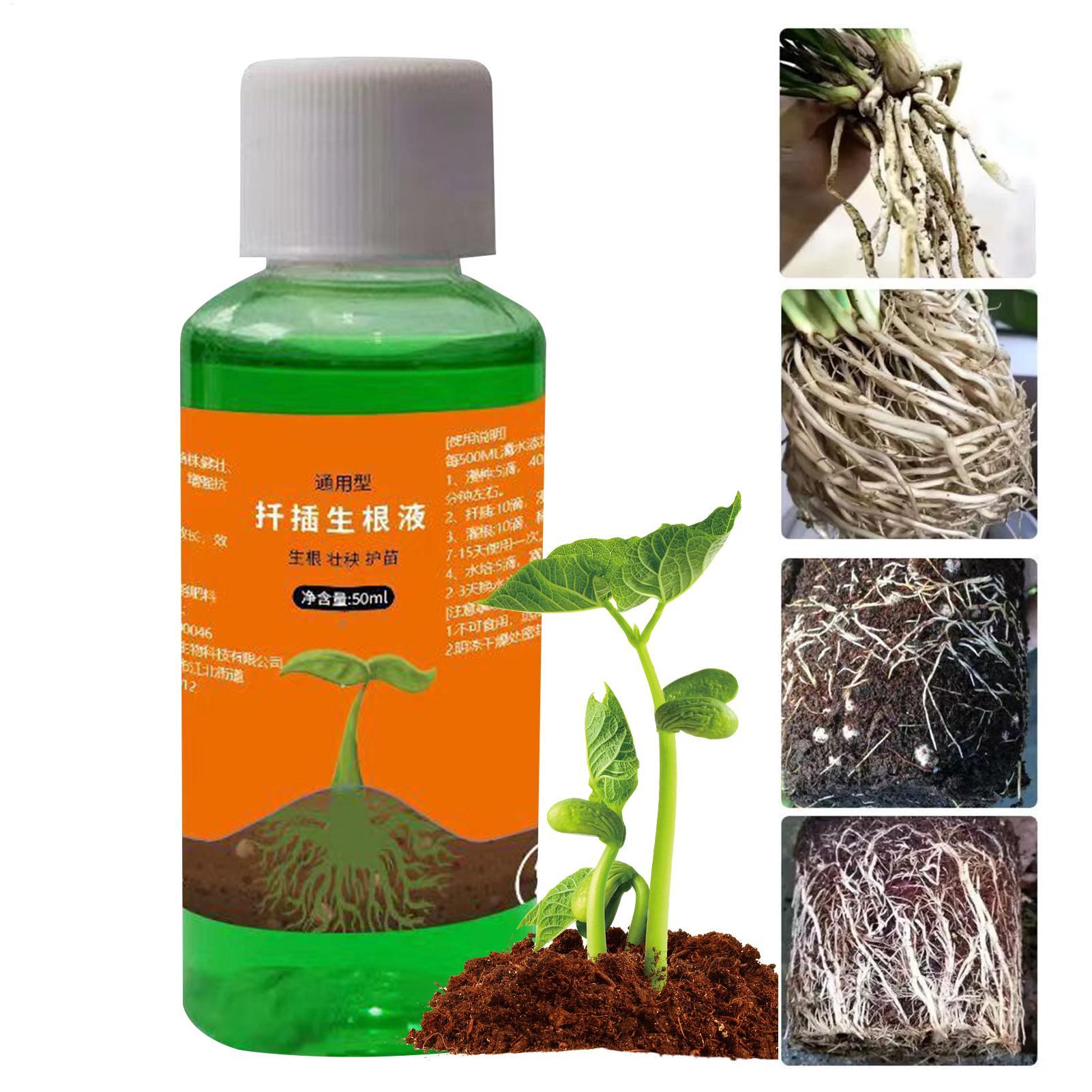 Soluzione nutritiva da 50 ml p - Root Stimulator Liquid recensione e prezzo