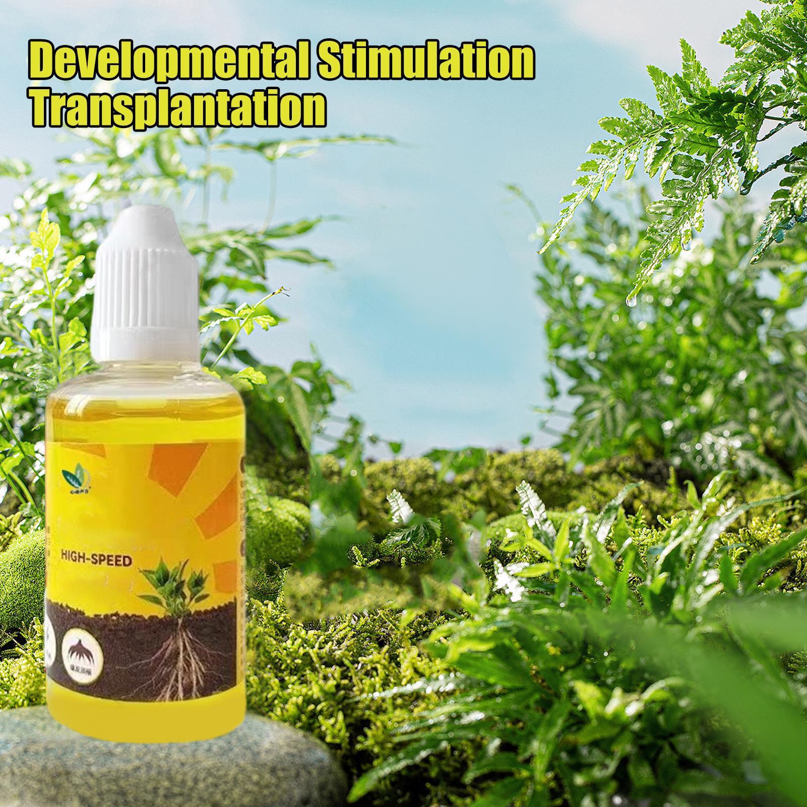 Soluzione nutriente per piante - Root Stimulator Liquid recensione e prezzo