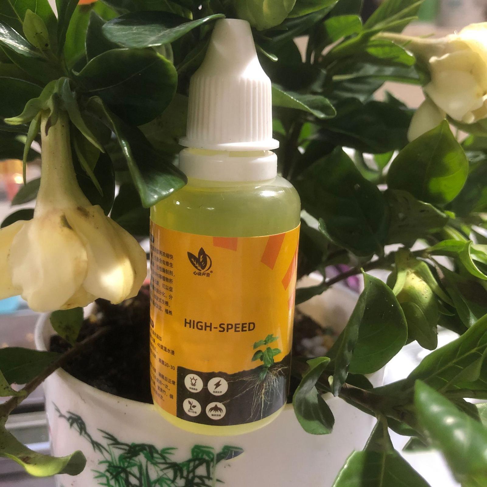 Soluzione nutriente per piante - Root Stimulator Liquid recensione e prezzo